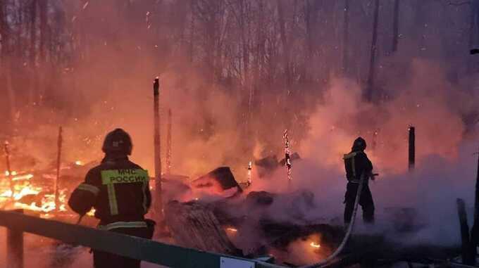 В Новой Москве при пожаре погибла семья с маленьким ребёнком