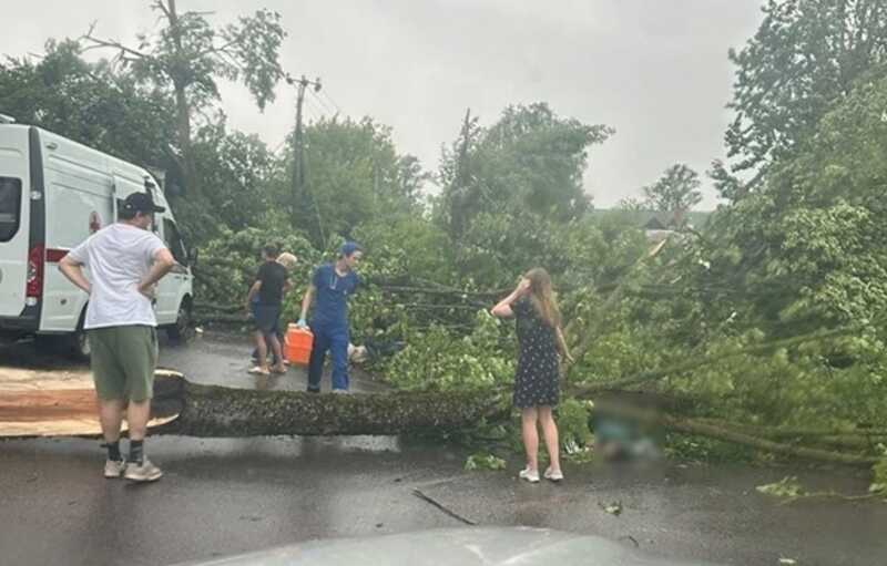 В Санкт-Петербурге ураган свалил дерево на женщину