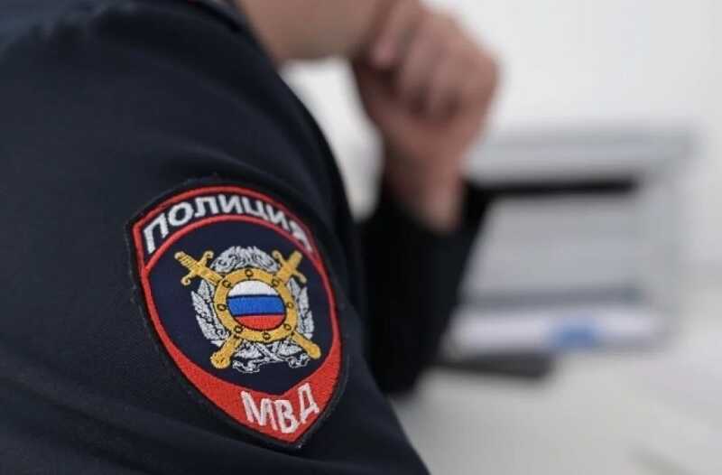 Стражи порядка изъяли львов у жителей Москвы за несоблюдение норм содержания